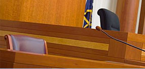 Services: Expert Testimony